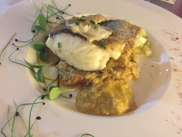 Merluza de anzuelo, sobre txangurro con salsa de cigalas.