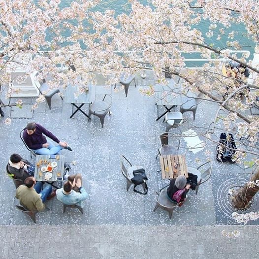 veintiocho, marzana, bilbao, terraza